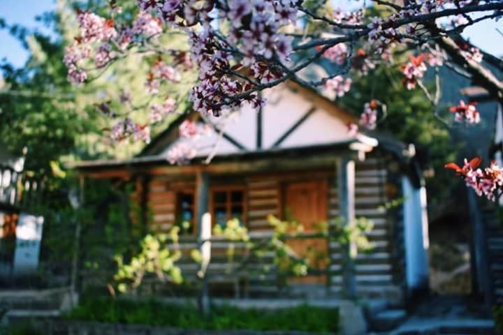 Cabanas Montebello Inn 克雷尔 外观 照片